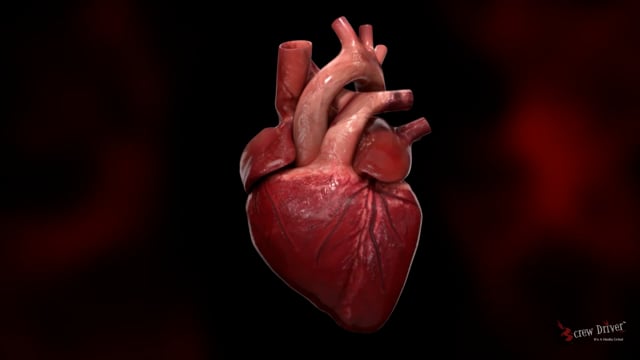 Heart