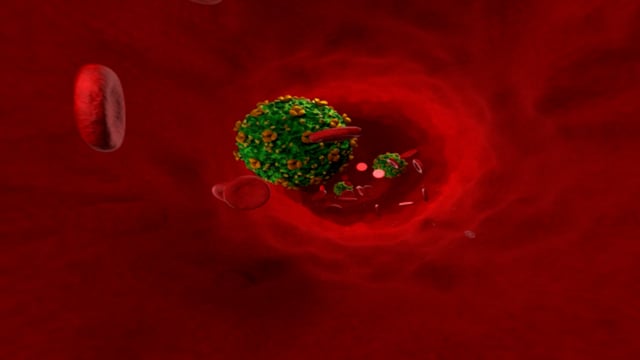 HIV 3D